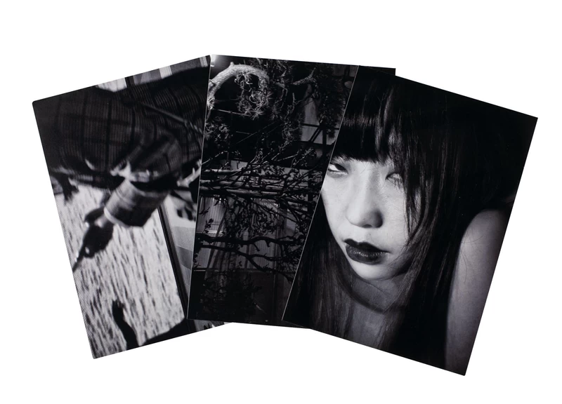 Tokyo Street Vol. 6, 5, 2 - Tatsuo SUZUKI | shashasha
