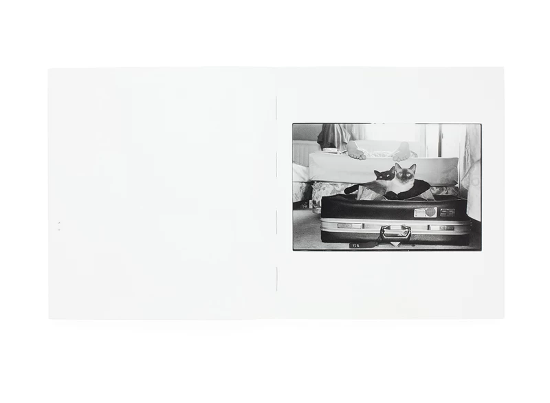 Wonderful Days - 深瀬昌久 | shashasha 写々者 - 写真集とアートブック