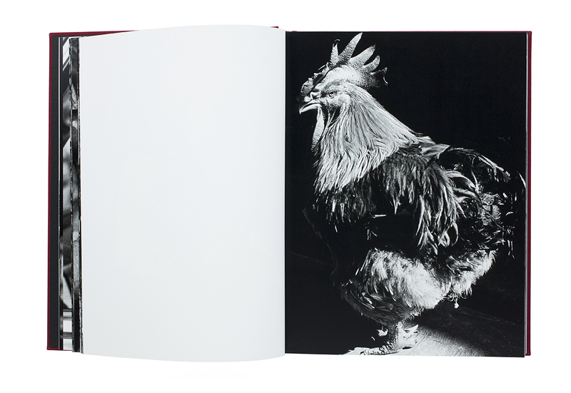 山内道雄 香港 写真集 土門拳 山内道雄 香港 写真集 土門拳 香港 1995