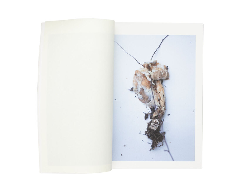 日本を代表するホンマタカシのオリジナルプリント 写真集の表紙にもなっている。 Takashi Homma | Lula JAPAN [ルラ ジャパン]