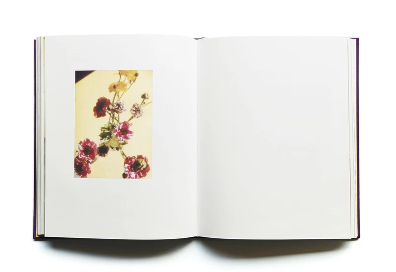 Flowers - 奥山由之 | shashasha 写々者 - 写真集とアートブック