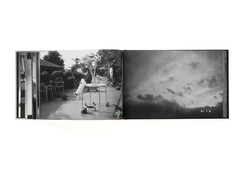 去年 - 荒木経惟 | shashasha 写々者 - 写真集とアートブック