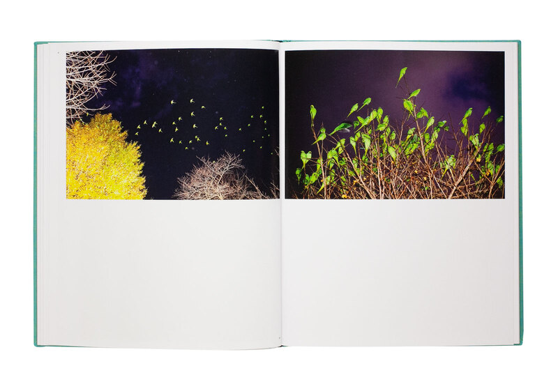 水谷吉法 水谷吉法写真集 Yoshinori Mizutani Tokyo Parrots Yoshinori