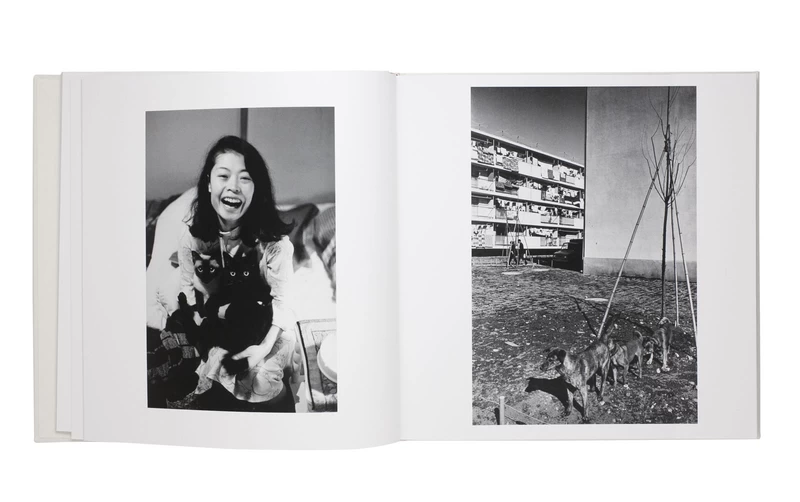 洋子 - 深瀬昌久 | shashasha 写々者 - 写真集とアートブック