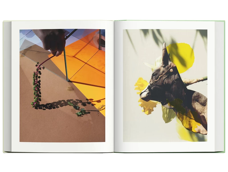 Modern Alchemy - Viviane SASSEN, Emanuele COCCIA | shashasha