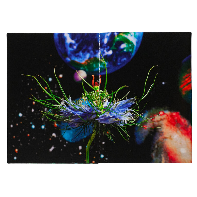 かろやか” Zine セット - うつゆみこ | shashasha 写々者 - 写真