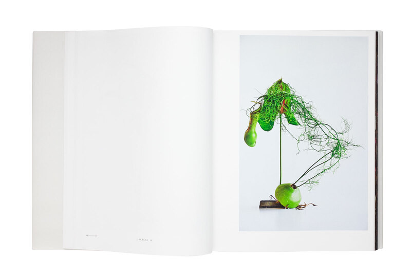 植物図鑑 Vol. V - 椎木俊介、東信 | shashasha 写々者 - 写真集