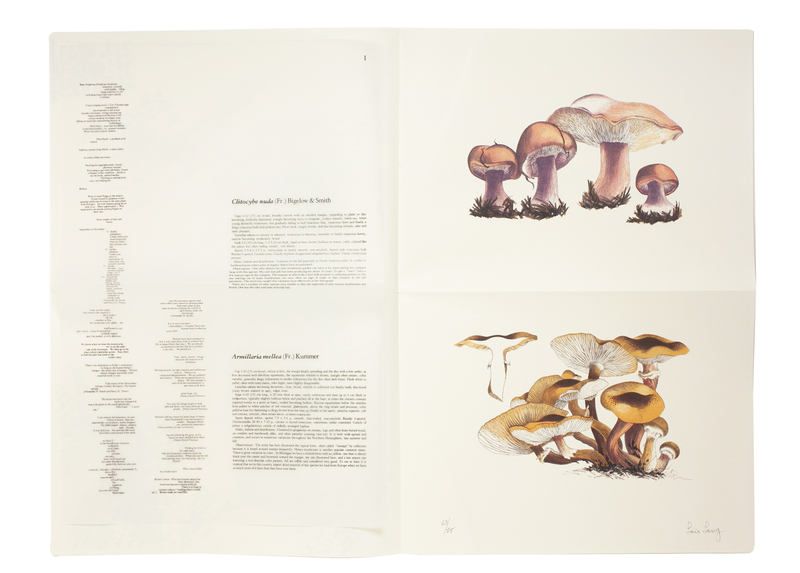 John Cage: A Mycological Foray - John CAGE | shashasha