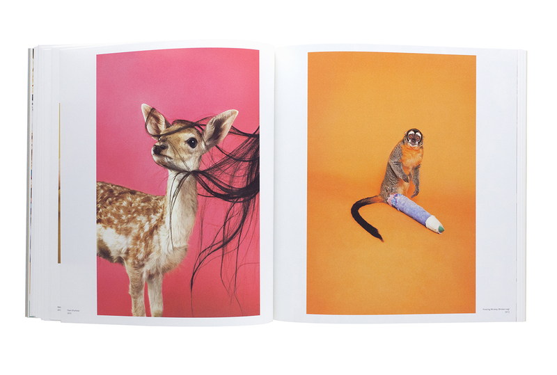 BODY LOUD! - Ryan MCGINLEY | shashasha - Photography & art in books