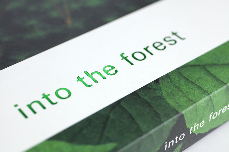 into the forest - 田淵三菜 | shashasha 写々者 - 写真集と