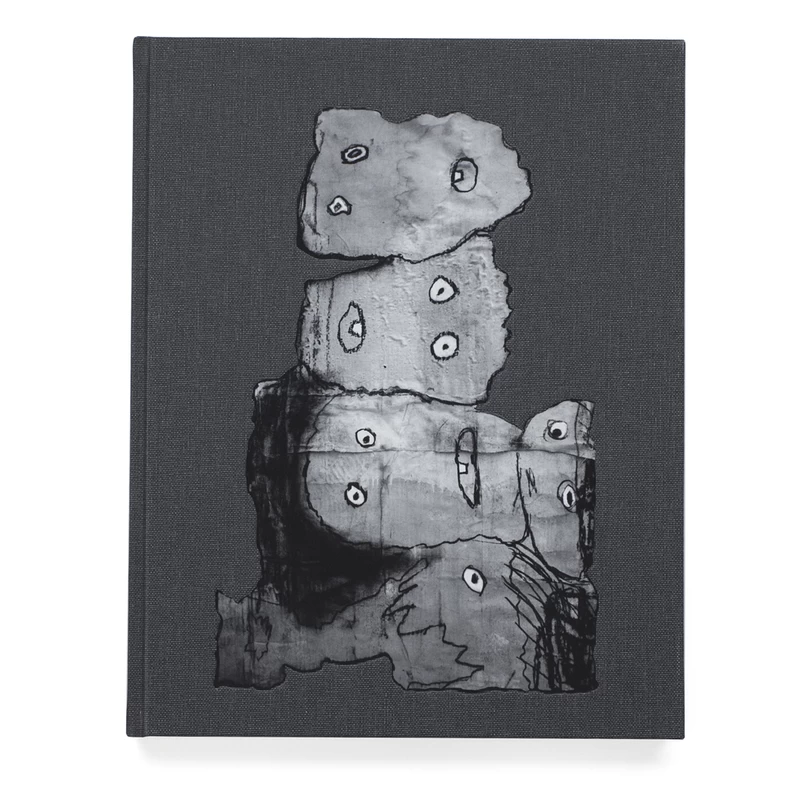 the house project　roger ballen 8V2uvEBgP_UjKrMA.webp