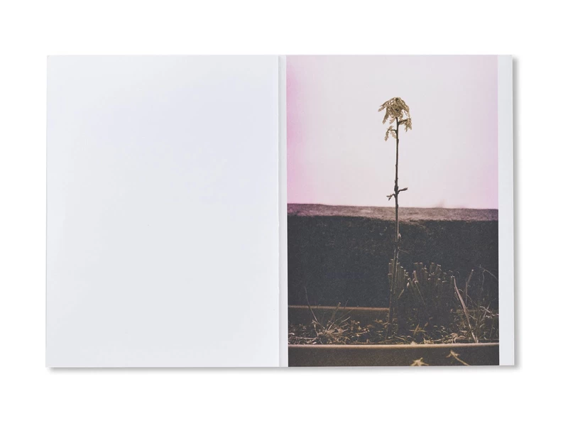 WOLFGANG TILLMANS - Wolfgang TILLMANS | shashasha - Photography