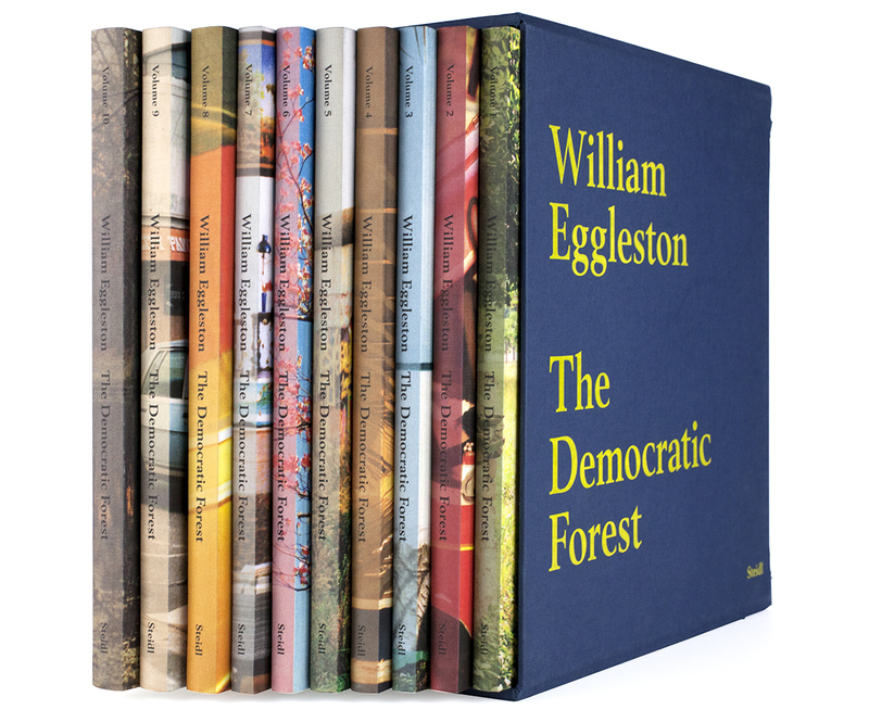The Democratic Forest - William EGGLESTON | shashasha 写々者 