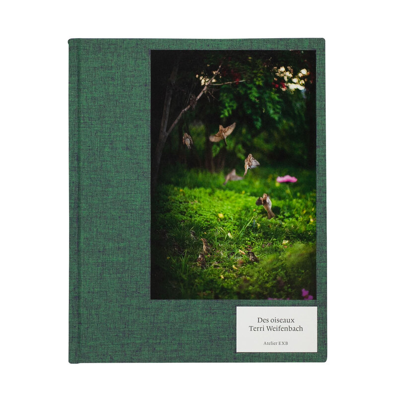 Buy Hunter Green by Terri Weifenbach online. – Setanta Books