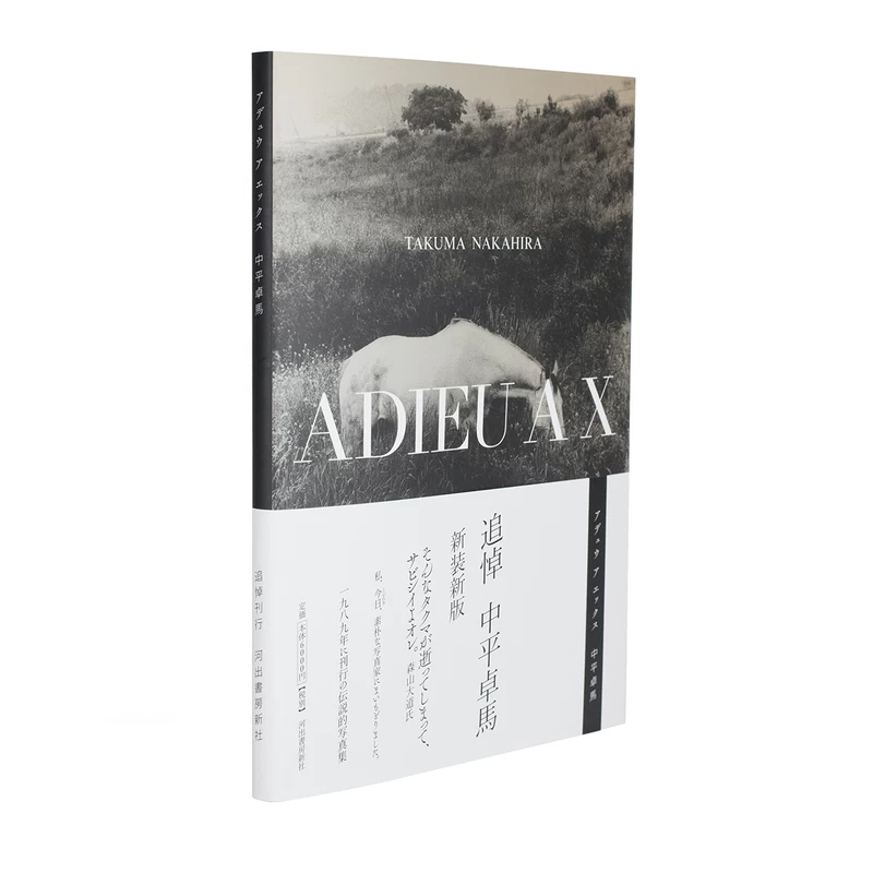 ADIEU A X - 中平卓馬 | shashasha 写々者 - 写真集とアートブック