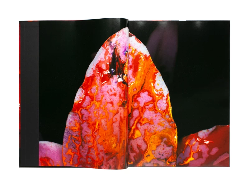 Painting flower (J) - Nobuyoshi ARAKI | shashasha - Photography