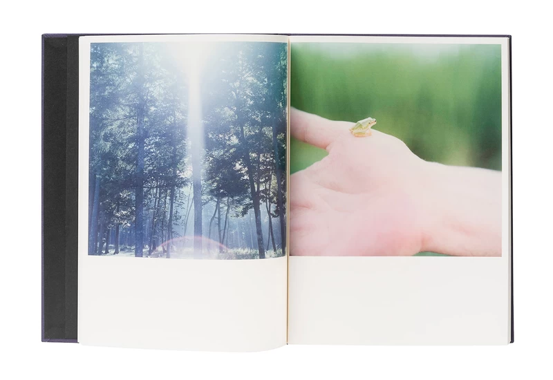 Illuminance: The Tenth Anniversary Edition - 川内倫子 | shashasha