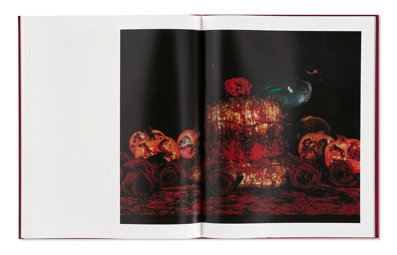 Michiko Kon 写真集 アートブック rcbVsBPKd_nAjGsC.webp