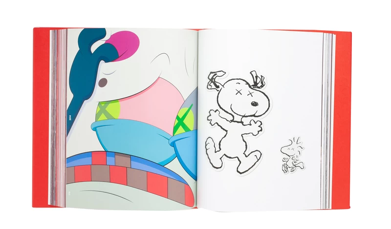 KAWS Tokyo First - KAWS | shashasha - Photography & art in books