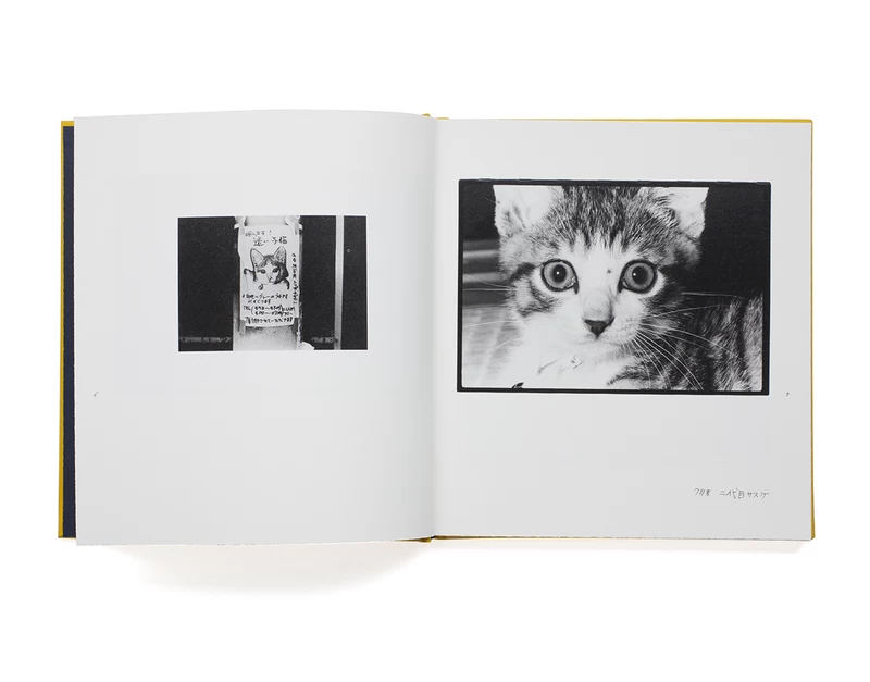 Afterword special edition - 深瀬昌久 | shashasha 写々者 - 写真集と