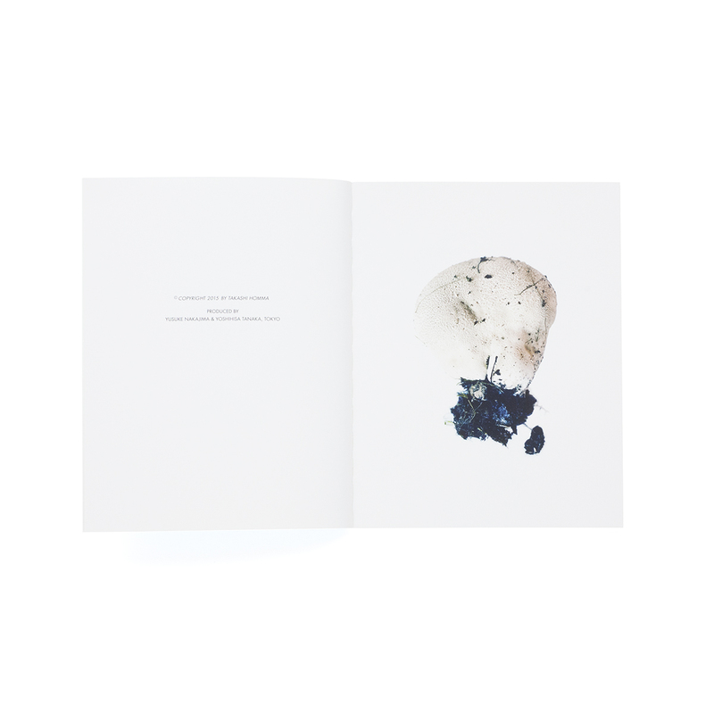 Scandinavian Mushroom - Takashi HOMMA | shashasha