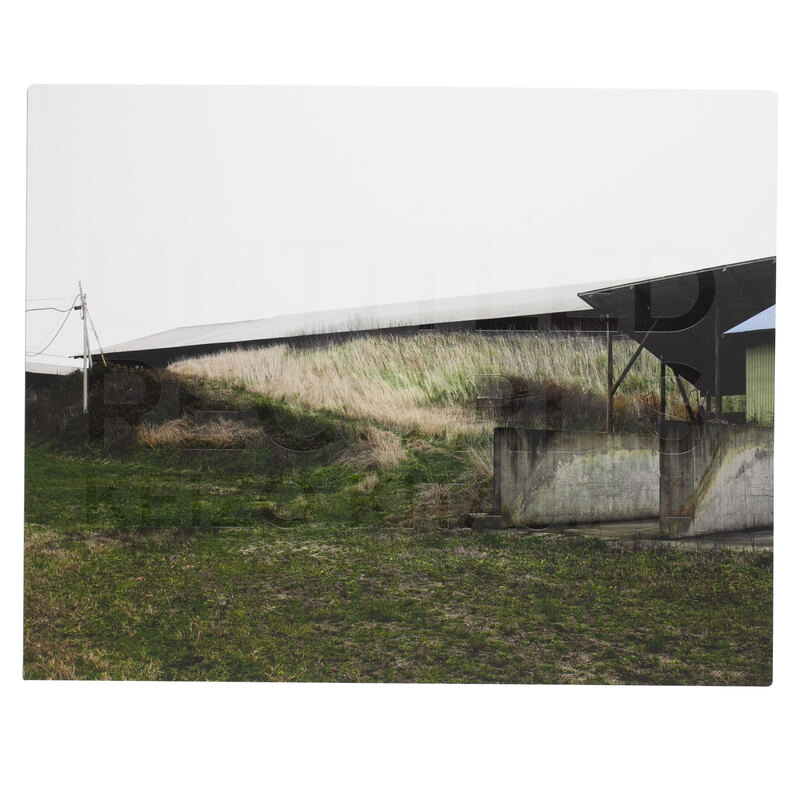 オリジナルアート作品#29 3人展「ぴよみょんさいだー展」開催のお知らせです。 ▶︎期間 9