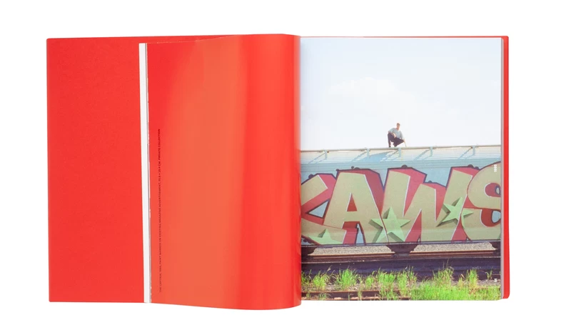 KAWS Tokyo First - KAWS | shashasha - Photography & art in books