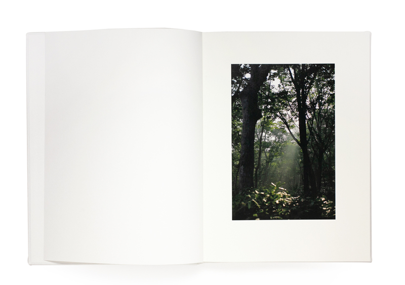 渡辺洋一 Essence of the Winter Forest 写真集 The Essence of the Winter Forest (A) - 渡辺洋一 | shashasha