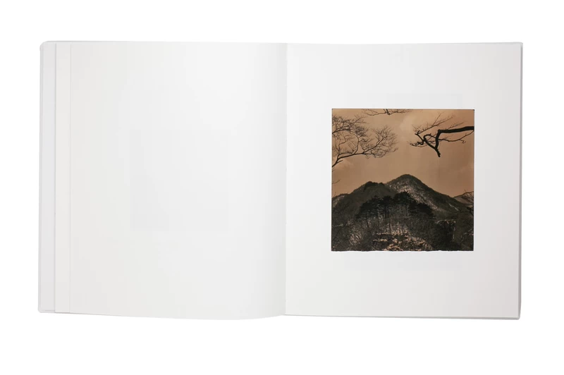 Yamamoto Masao - Masao YAMAMOTO | shashasha - Photography & art in