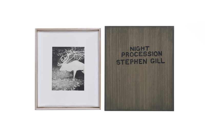 Night Procession - Stephen GILL | shashasha - Photography Night Procession - Stephen GILL | shashasha - Photography