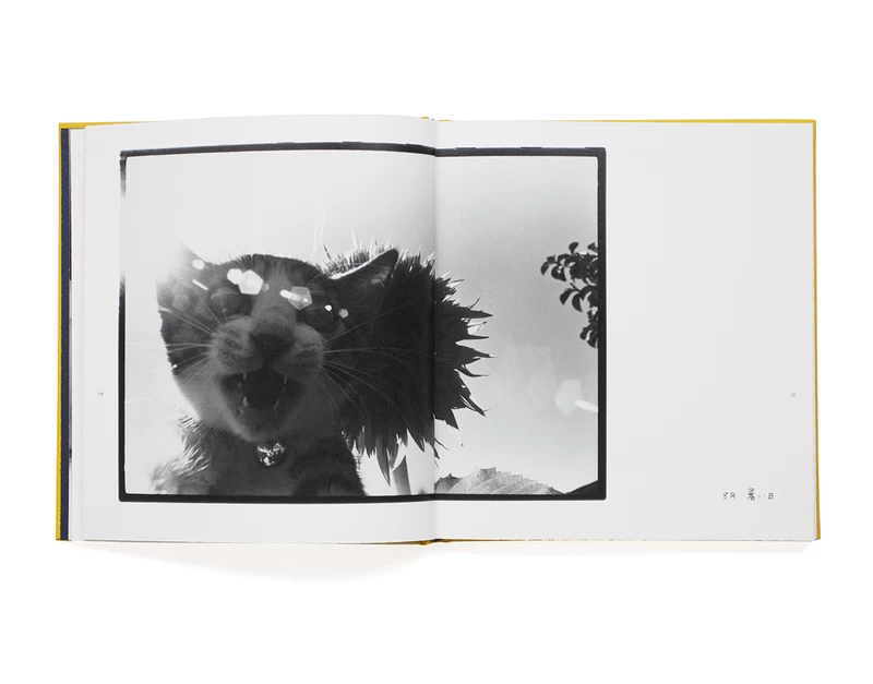 Afterword special edition - 深瀬昌久 | shashasha 写々者 - 写真集と