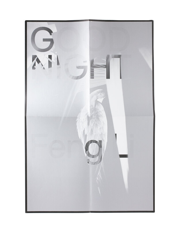 Good Night - FENG Li | shashasha - Photography & art in books