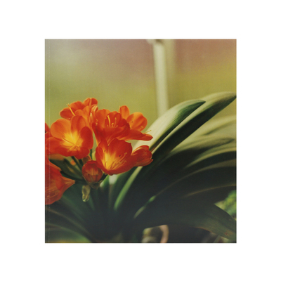 Books - Online Shop | shashasha - Photography & art in books