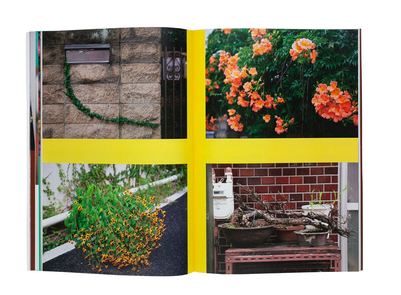 スナップ” Zine セット - うつゆみこ | shashasha 写々者 - 写真集と