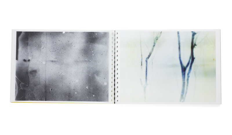 Toransupearento - Daisuke YOKOTA | shashasha - Photography