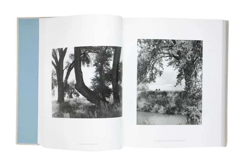 American Silence: The Photographs of Robert Adams - Robert ADAMS