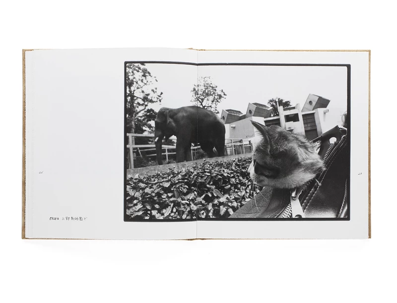 Afterword 2nd edition - 深瀬昌久 | shashasha 写々者 - 写真集と