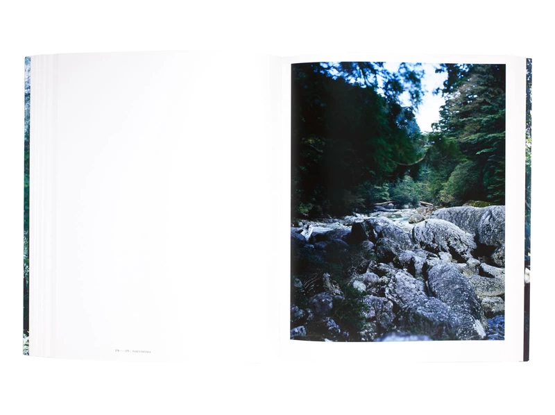 FOREST 印象と記憶 1989-2017 - 上田義彦 | shashasha 写々者 - 写真集