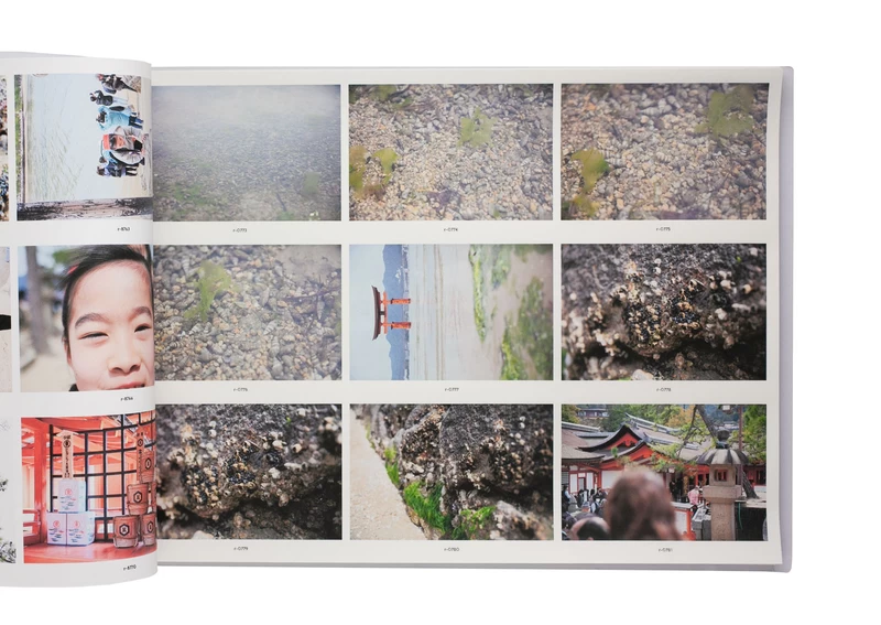 スナップ” Zine セット - うつゆみこ | shashasha 写々者 - 写真集と