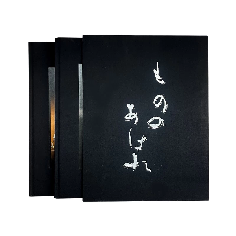Mono No Aware - The Beauty of Impermanence - 井津建郎 | shashasha