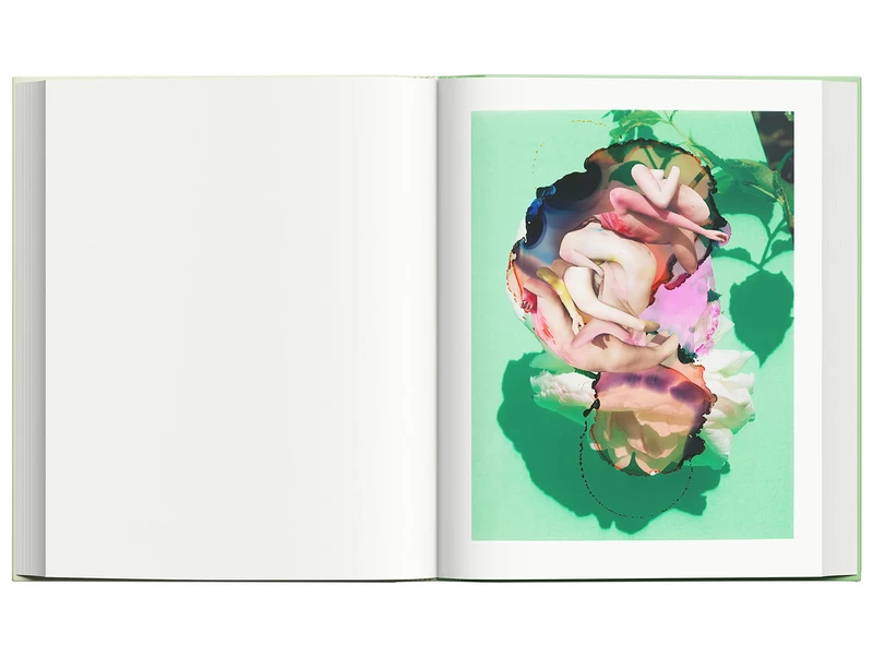Modern Alchemy - Viviane SASSEN, Emanuele COCCIA | shashasha