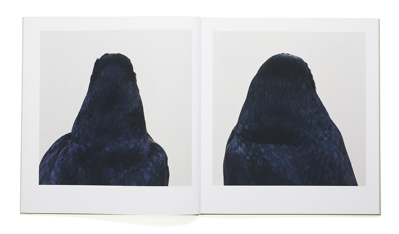 bird - Roni HORN | shashasha - Photography & art in books