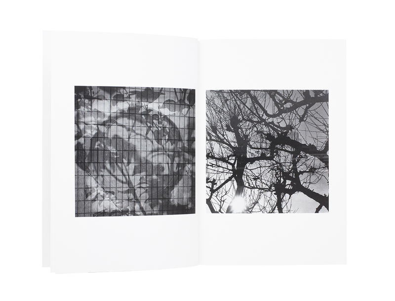 Voyage - Tamiko NISHIMURA  shashasha - Photography & art in books