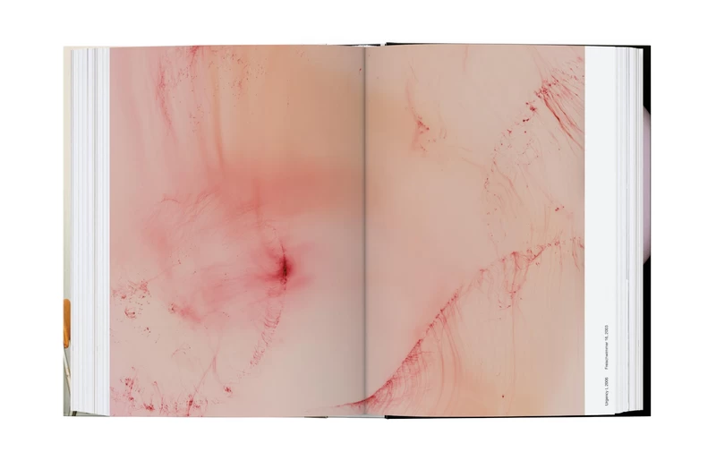 Wolfgang Tillmans. Four Books. 45th Ed. - ヴォルフガング