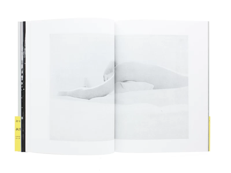 PROVOKE Complete Reprint of 3 Volumes - Koji TAKI, Takuma NAKAHIRA