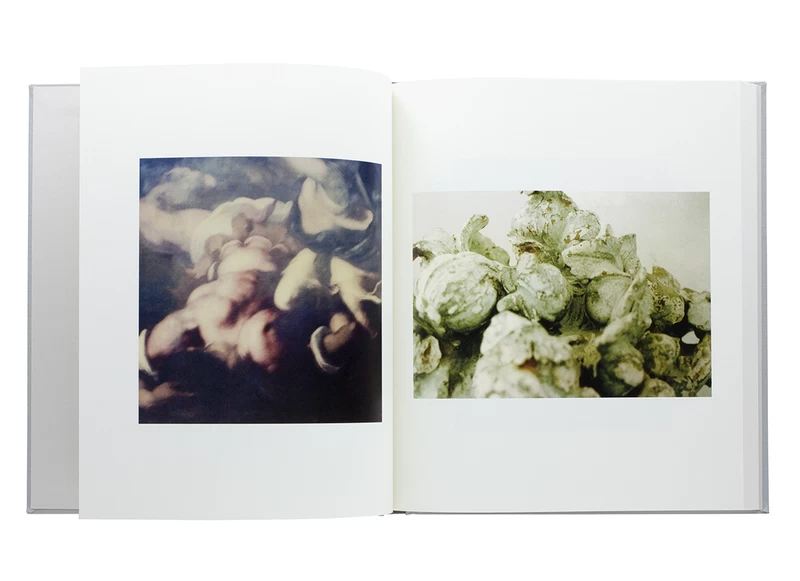 Cy Twombly Photographs - Cy TWOMBLY | shashasha - Photography