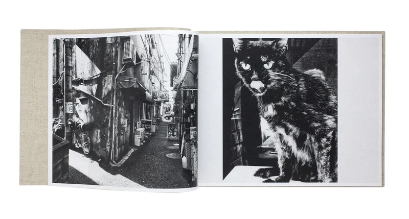 Stray Cats - 森山大道 | shashasha 写々者 - 写真集とアートブック