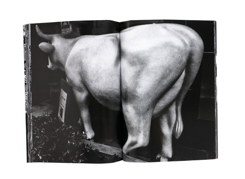 Record No. 47 - Daido MORIYAMA | shashasha - Photography & art in books