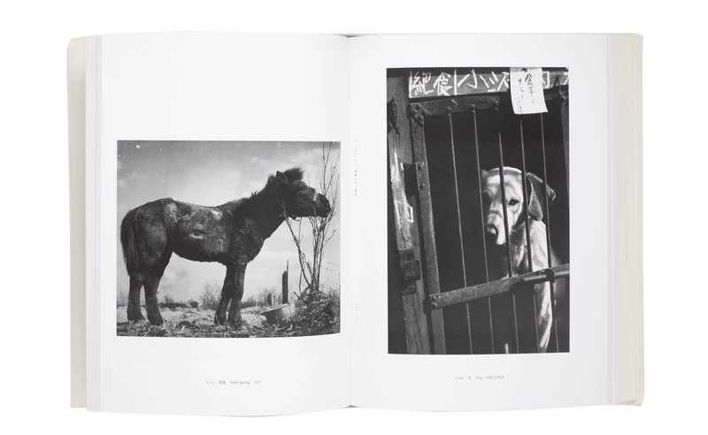 Yasui Nakaji 1903-1942: Photographs - Nakaji YASUI | shashasha