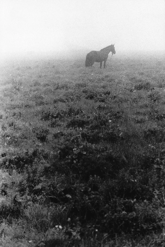 Solitude Standing - Ichiro KOJIMA | shashasha - Photography & art